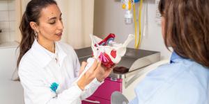La vulve et le clitoris sans tabou
