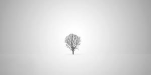 Blues hivernal ou vraie dépression ?