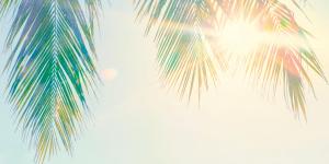La part d’ombre du soleil