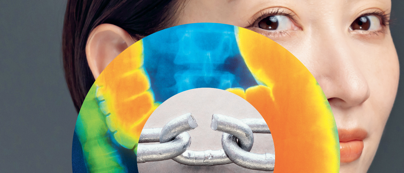 Pulsation magazine janvier - mars 2026