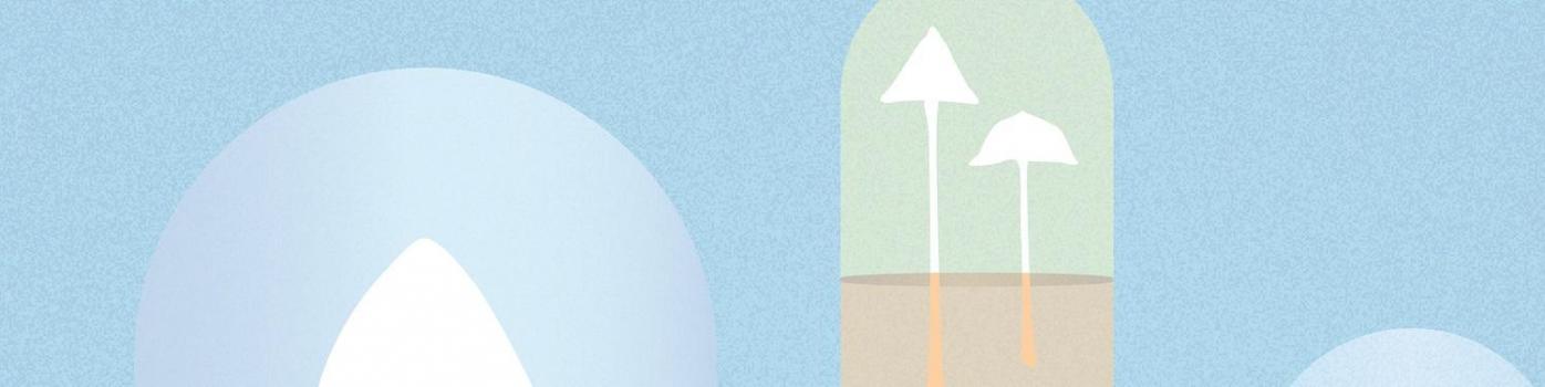 illustration article : psychédéliques